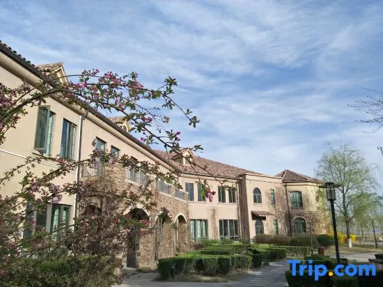 Shahu Resort Hotel