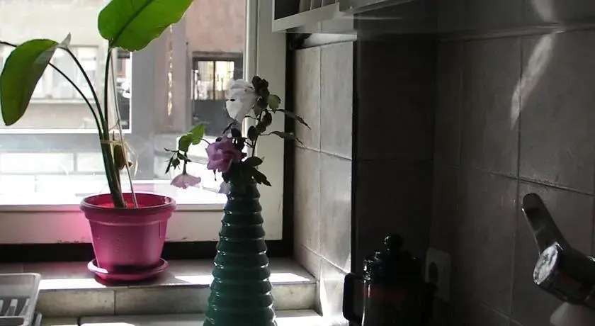 Apartment Dalmatinska