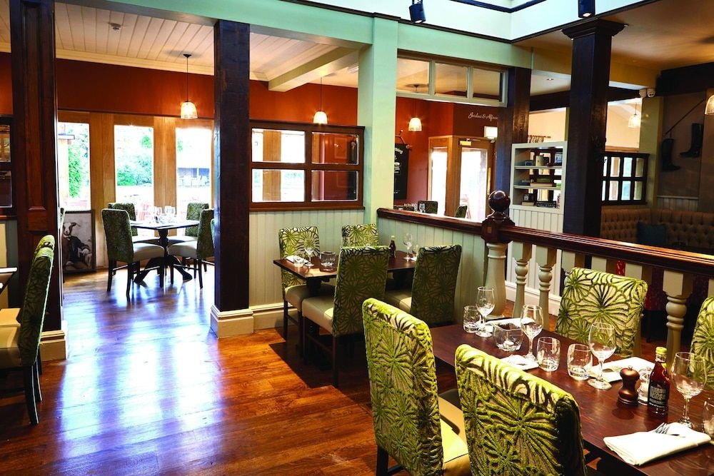 The Golden Pheasant
