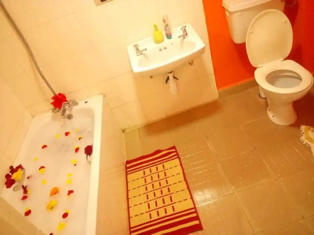 Exquisite Airport Apartment