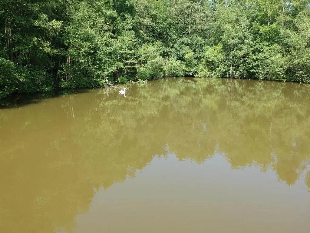 le bateau sur lac privé de 2 hectares poissonneux au milieu des bois