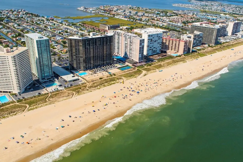 New Listing! Downtown : Walk To Beach & Bay 2 Bedroom Condo