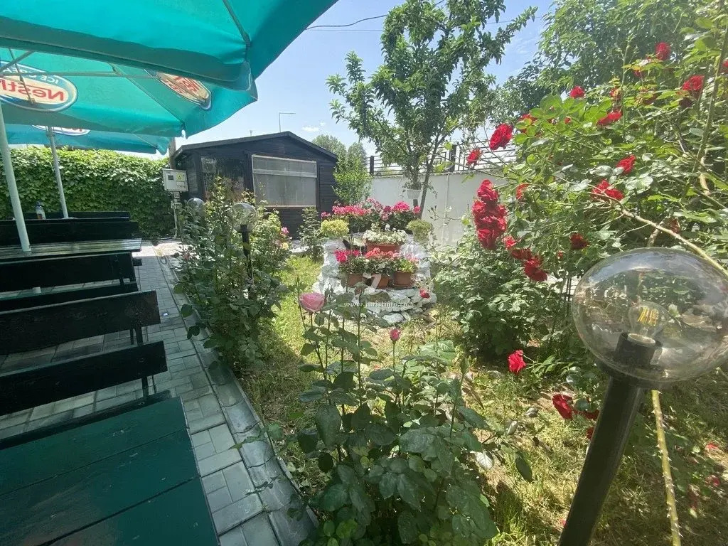 Casa Asteria - Mamaia Nord