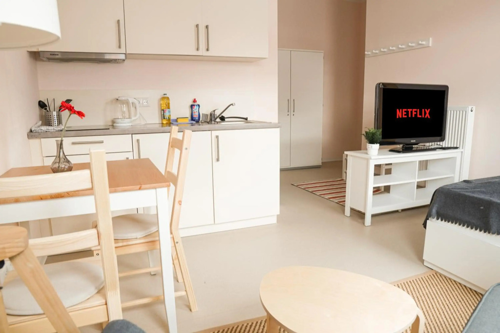 FULL HOUSE Studios - CityView Apartment - NETFLIX + WiFi inkl.