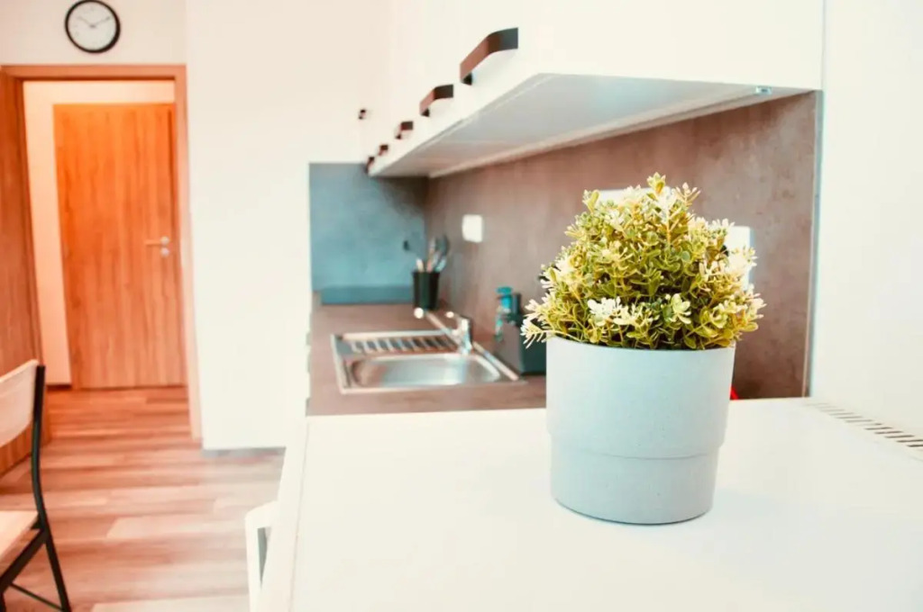 ZAROHEM 2 bedrooms APARTMENT in center with balcony