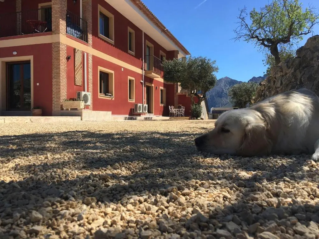 Finca Oliva - Bed & Breakfast - Hotel