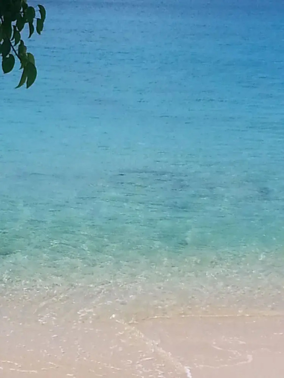 Coral Lane Beach Apartments