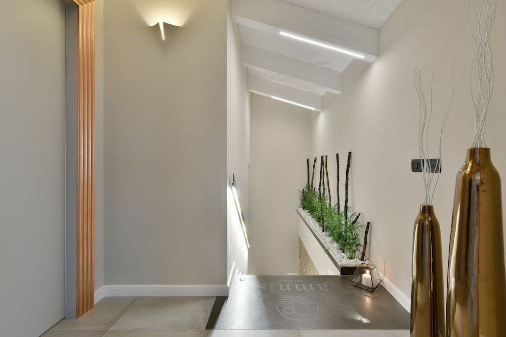 Amnis suites