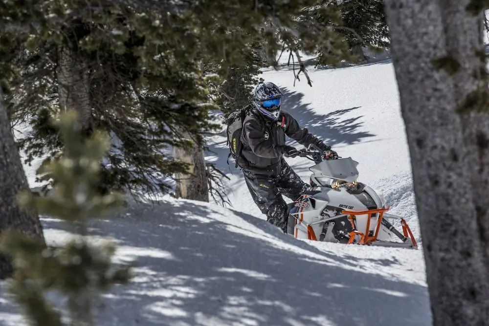 Muley Hollow