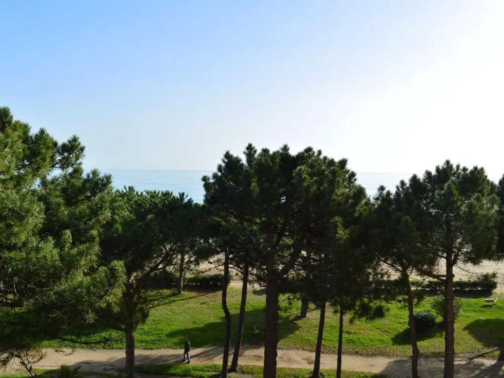 Appartement Argelès-sur-Mer, 2 pièces, 3 personnes - FR-1-225-26
