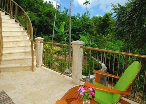 Coral Oasis