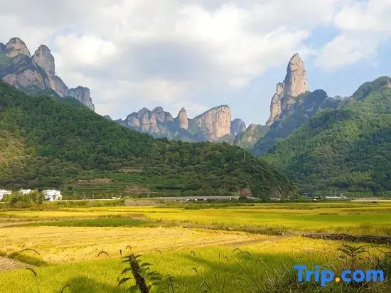 Xianju qingyinge homestay