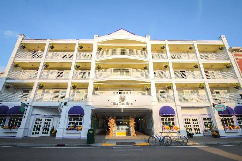 Lilac Tree Suites