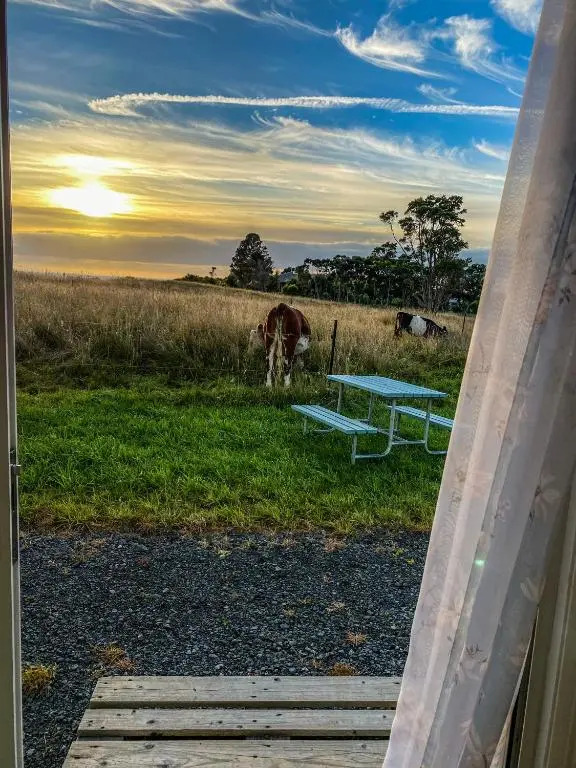 White Caps Kaikoura Farmstay