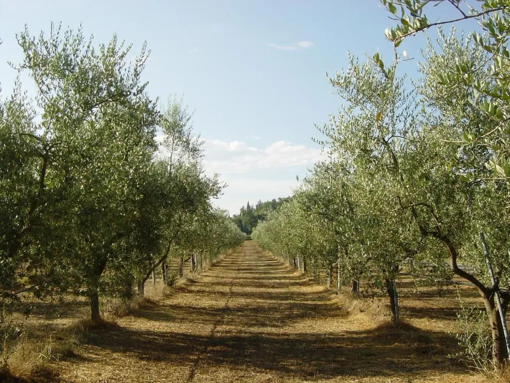 Agriturismo Il Selvino