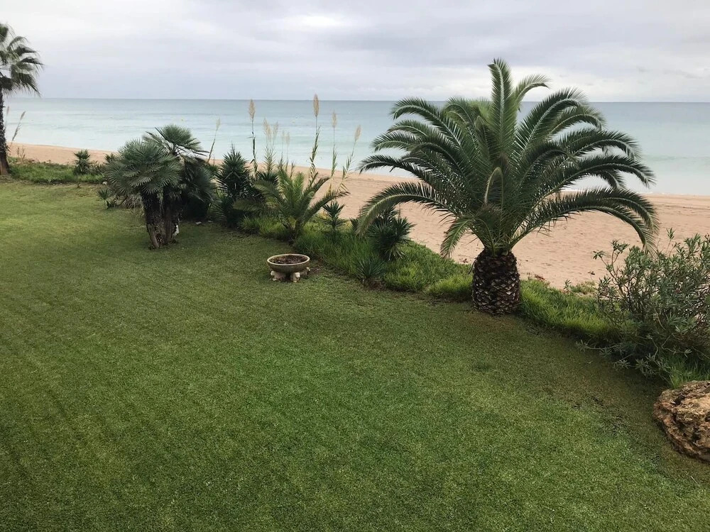 Paradise on the Beach