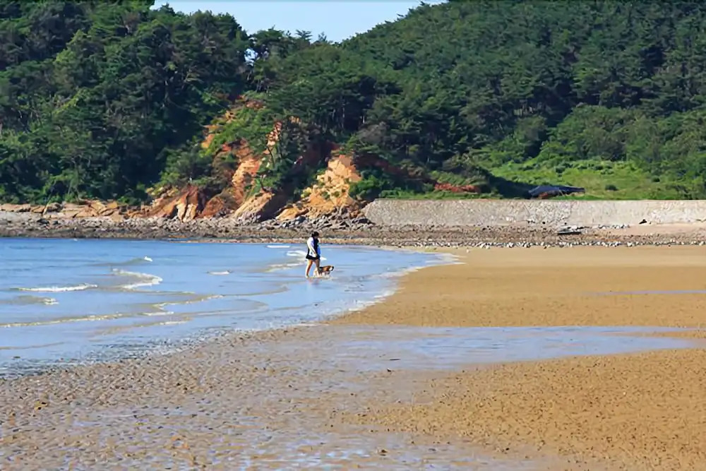 Silver Glowing Sea Pension