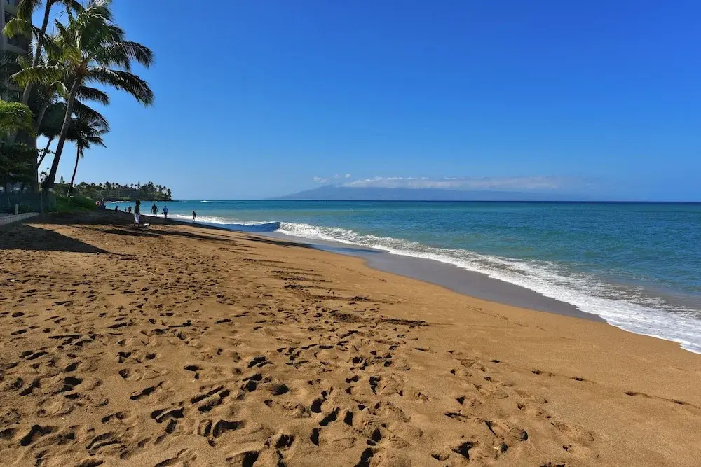 Royal Kahana 1020