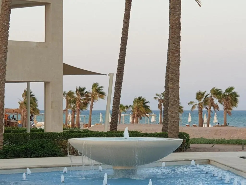 Mangroovy El Gouna