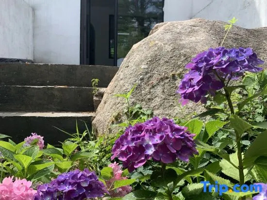 Meet Four Seasons Boutique Art Homestay