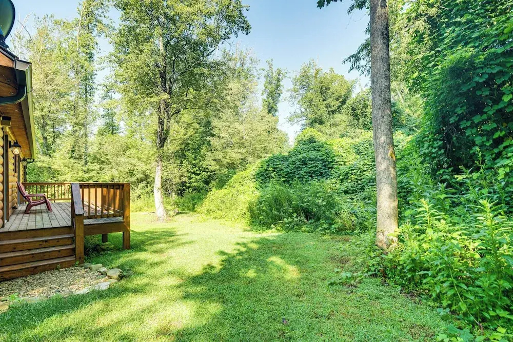 Secluded, Private! Forested Hendersonville Retreat