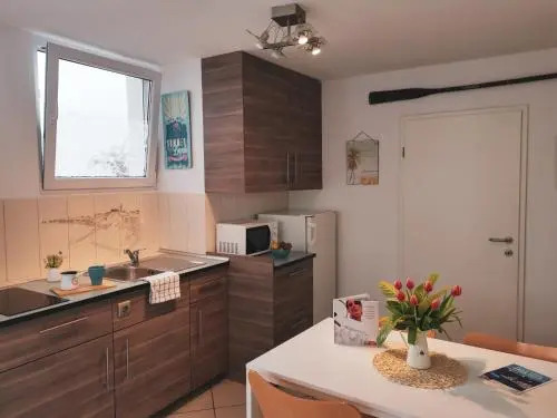 Apartments Vela