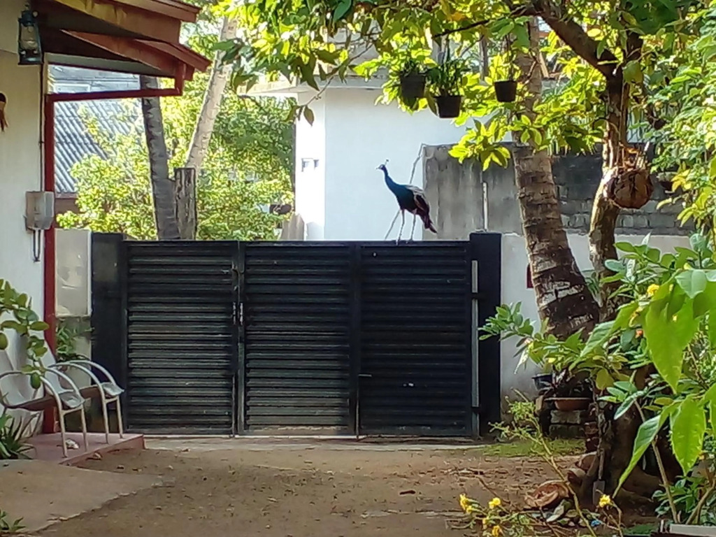 4ty two Homestay Galle