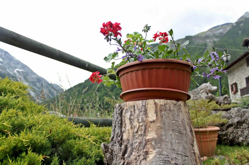 Hotel Bouton DOr - Cogne