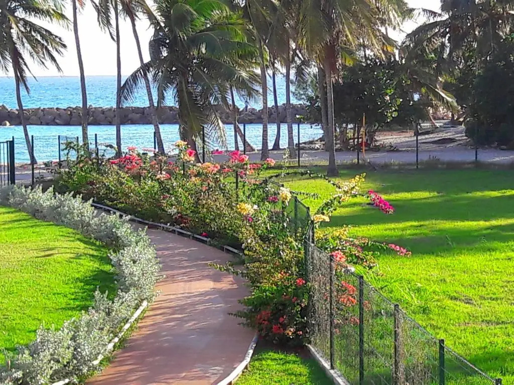 Studio Bleu Caraibe