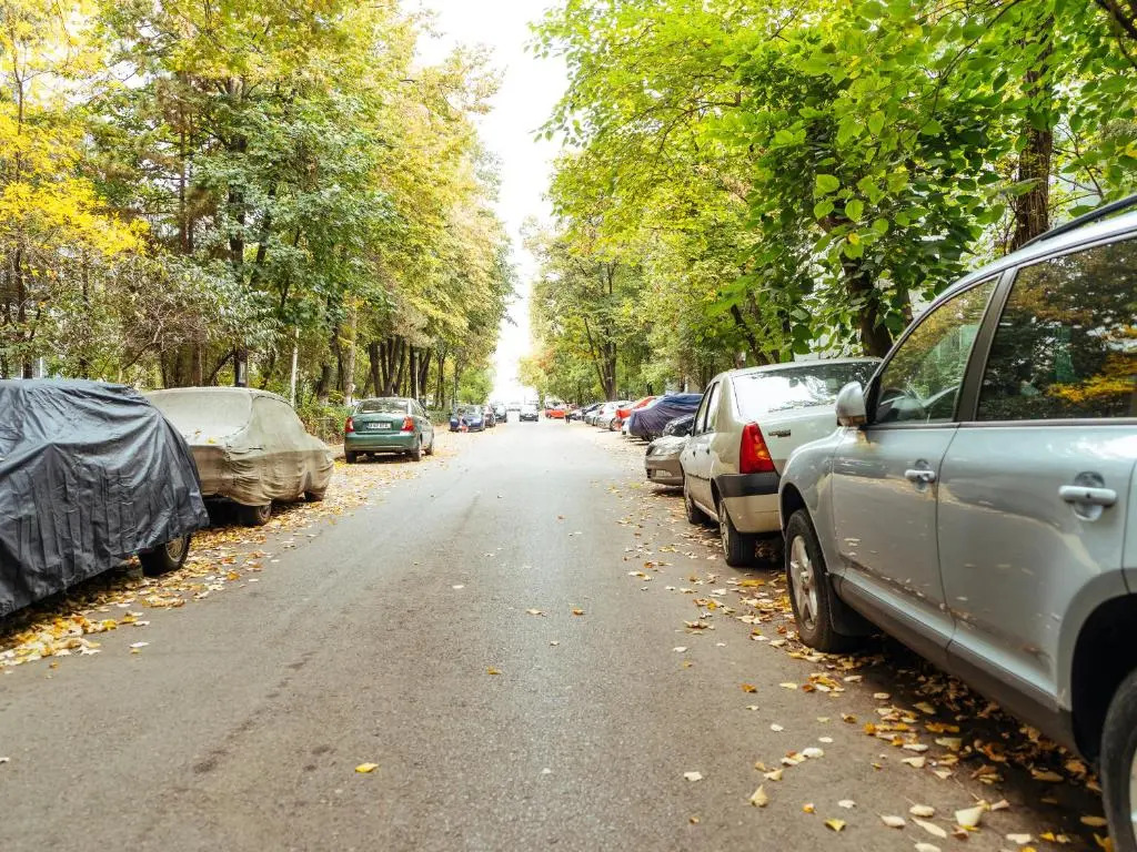 Woody - Cozy and Quiet Place near Moghioros Park