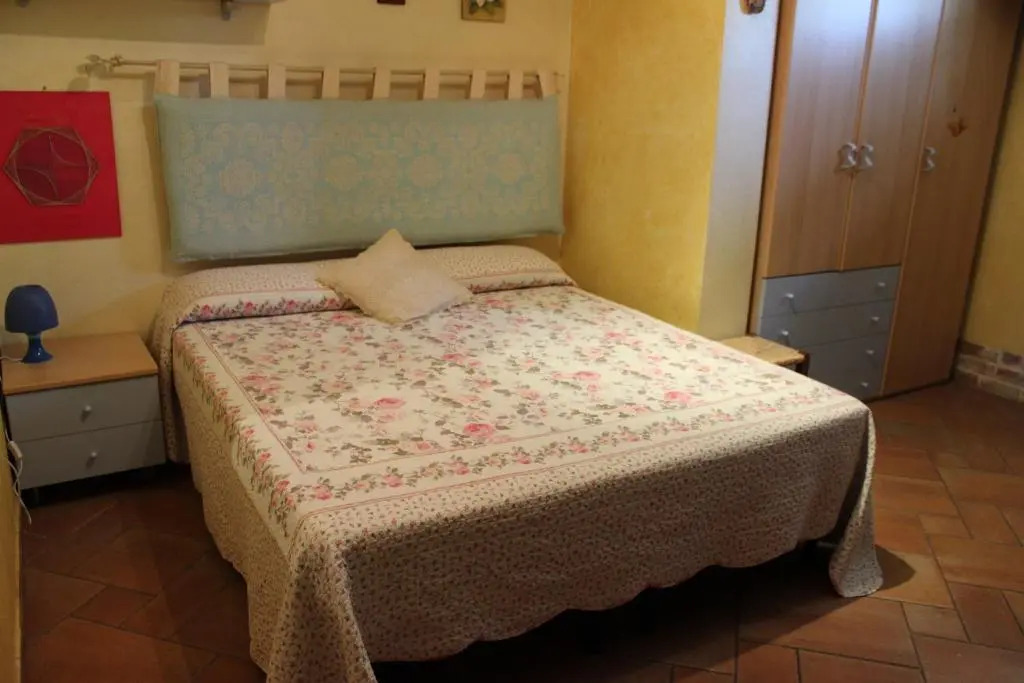 B&B Chorisia