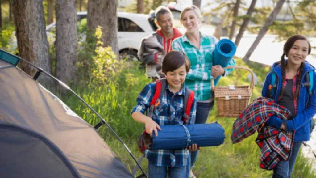 Hospedaje y Zona de Camping Pistacho