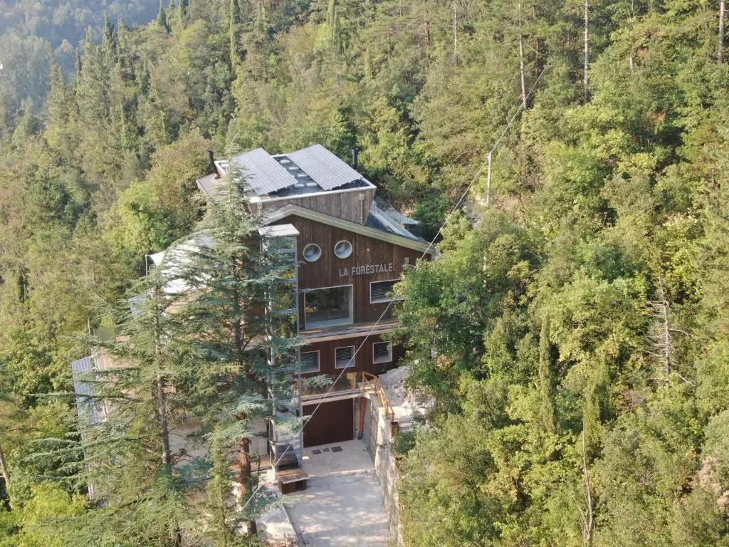 La Forestale Luxury Ecolodge B&B Primo Piano
