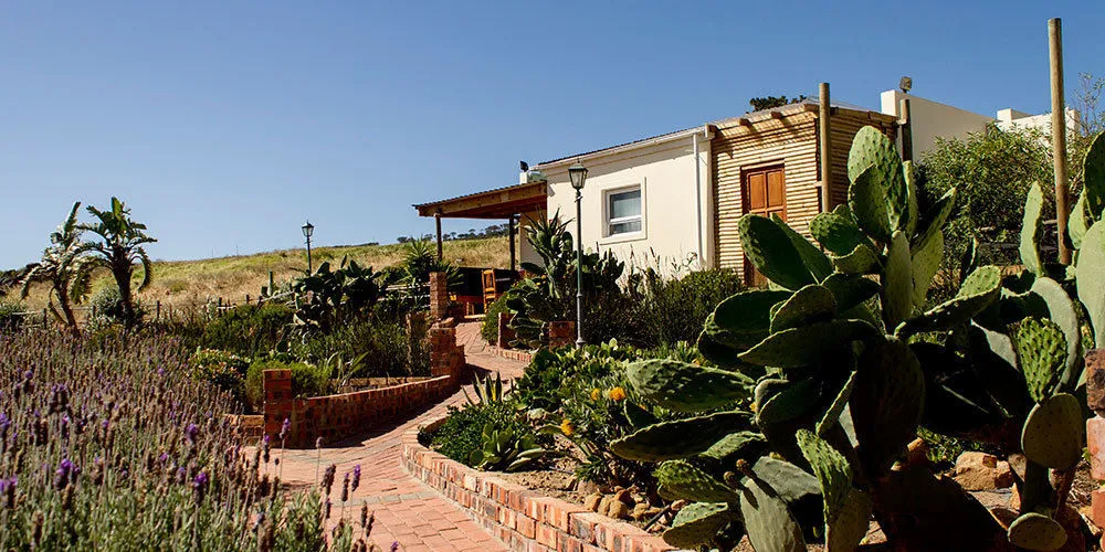 Capelands Wine Farm & Guesthouse
