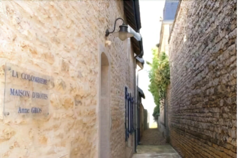 Maison dhtes la Colombire