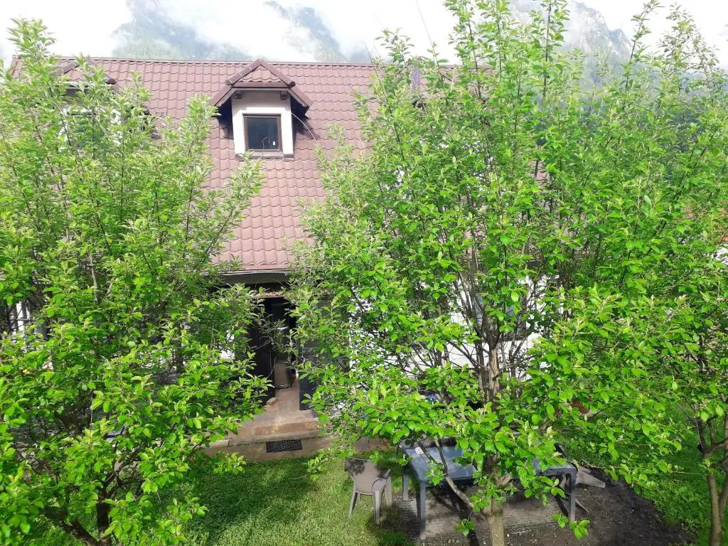 5 bedrooms chalet with city view enclosed garden and wifi at Busteni 1 km away from the slopes