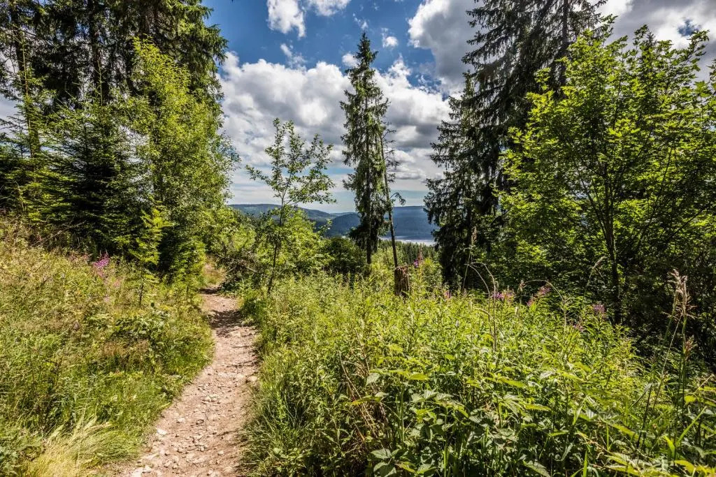 Fewo Blumbach Nr 2, Schluchsee, Feldberg