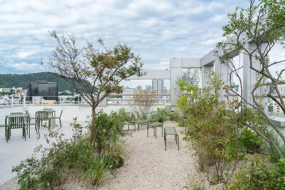 Mangrove Sinseol
