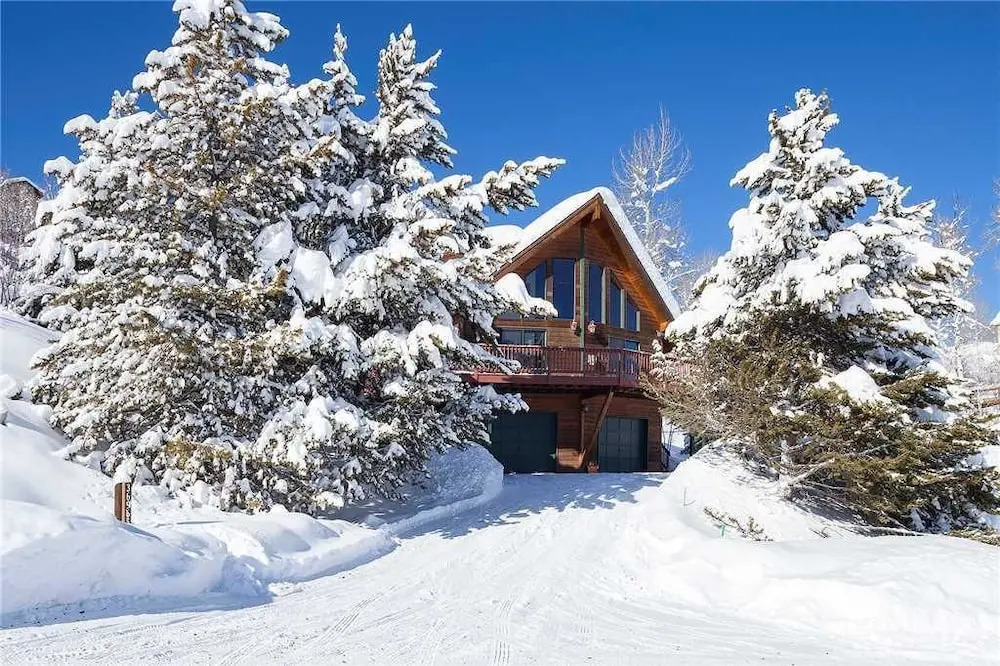 Tree Haus Chalet
