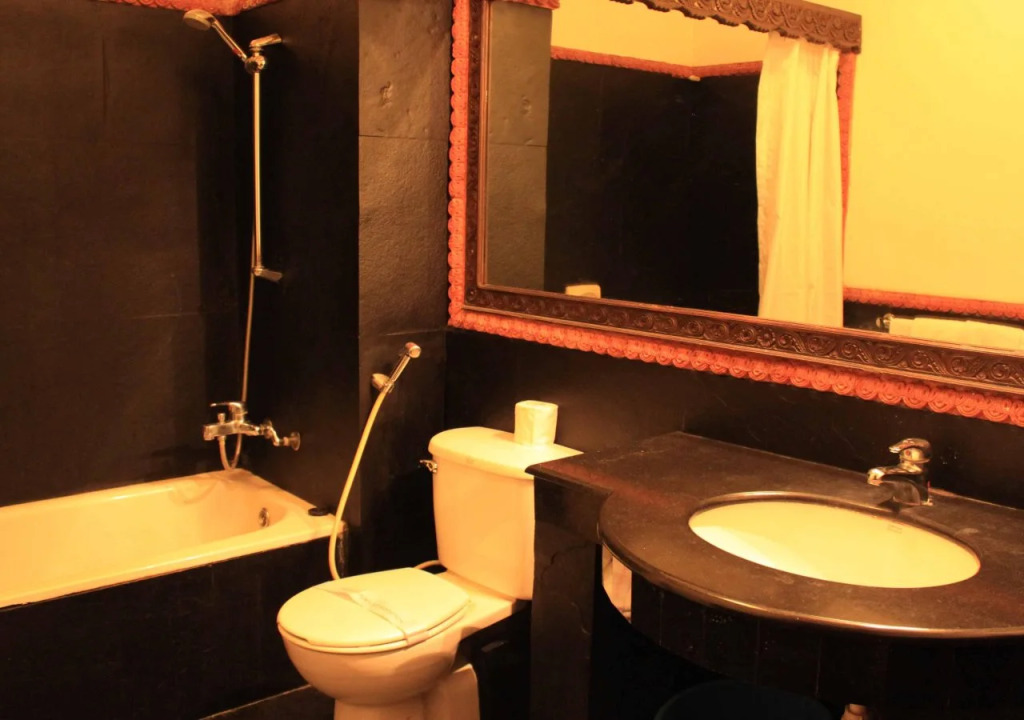 Hotel Manaslu