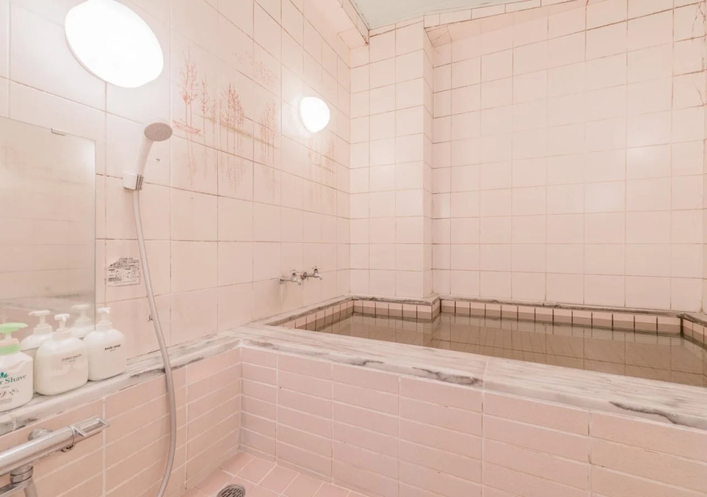 Capsule Kinuyahotel Ikebukuro - Men Only