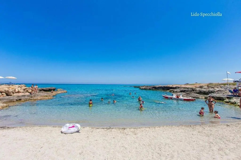 Appartamento Pineta Mare