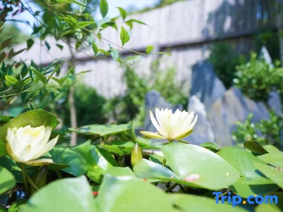 Shanghai Honghomestay