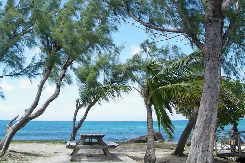 Apartment With 2 Bedrooms in Sainte Luce, With Wonderful sea View, Fur