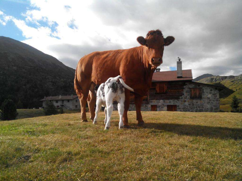 Agriturismo Raethia