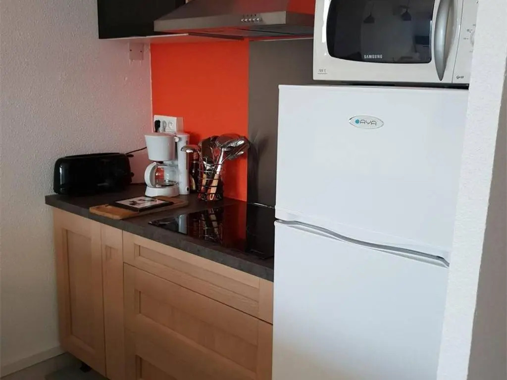 Appartement Argelès-sur-Mer, 2 pièces, 4 personnes - FR-1-388-52