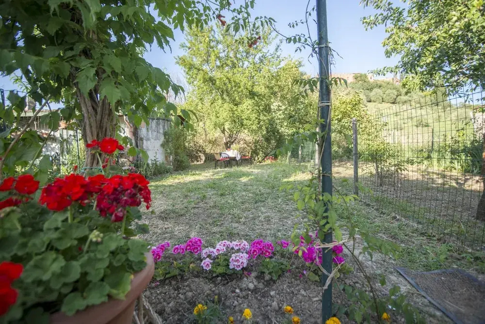 Tognazzi Casa Vacanze - Certaldo Centro