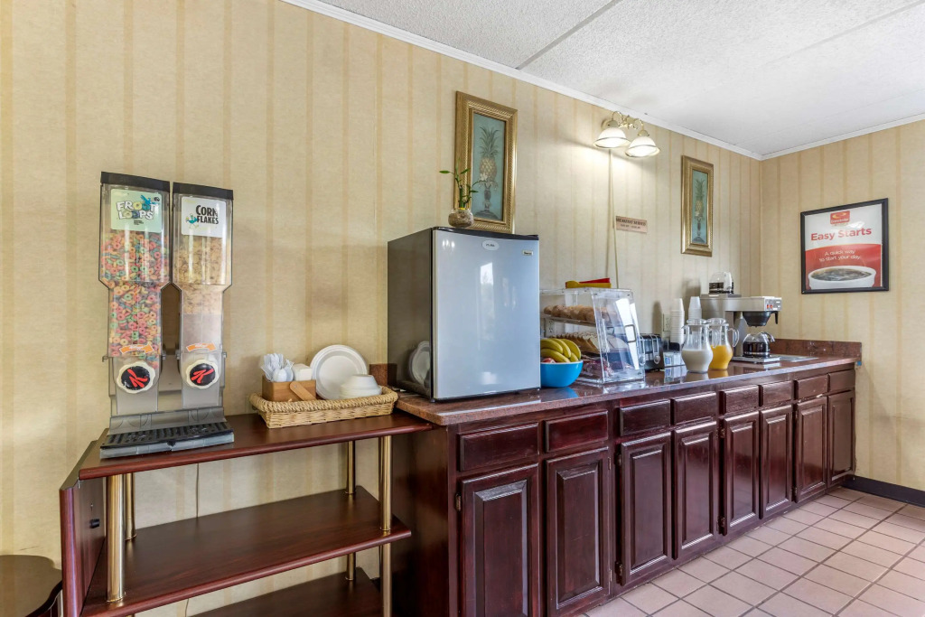 Econo Lodge Inn & Suites Lugoff