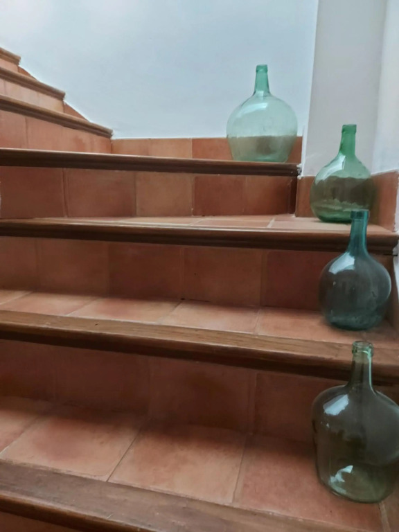 CASA LA ABUELA REMEDIOS