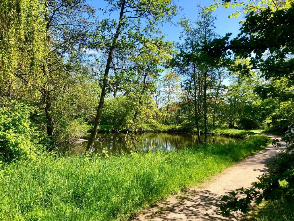 Ferienwohnung Parkblick